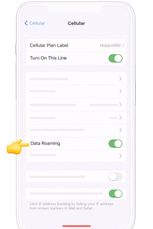 Step 3 - Enable Data Roaming