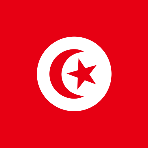 تونس flag